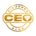 CEO Diamonds Club - Home